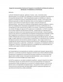 El papel de los monsacaridos