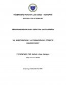 La investigación y la formación del docente universitario