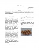 CNIDARIOS