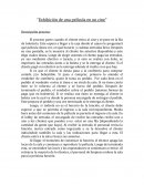 Proceso de exhibicion de una pelicula