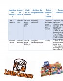 Actividad de metacognicion Ensayo sobre los emprendedores