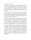 Lecto escritura constructivismo