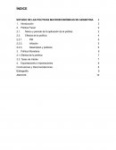 Analisis Macroeconomico de Argentina