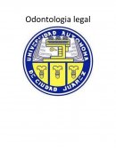 Odontologia legal ¿Qué es conamed?