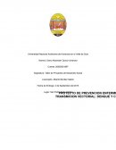 CUAL ES EL PROYECTO DE PREVENCIÓN DE ENFERMEDADES DE TRANSMISIÓN VECTORIAL