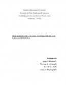 Tesis Historia de la Iglesia San Pedro