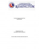 Adminisracion de negocios internacionales Empresa: Insmebion Vida Sana