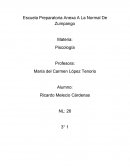 Ideas del libro dibs