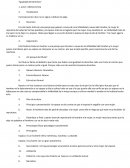 Analisis literario igualdad de derchos