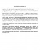 Nacidos en los burdeles