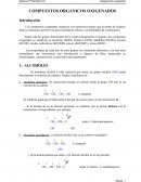 COMPUESTOS ORGÁNICOS OXIGENADOS