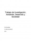 Trabajo de Investigación: Ambiente, Desarrollo y Sociedad