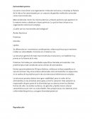 Caracteristicas de los seres vivos ¿Cuáles son las macromoléculas biológicas?