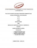 MERCADO DE COMPETENCIA PERFECTA E IMPERFECTA