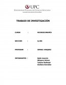 Trabajo de investigación MICROECONOMÍA
