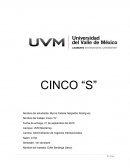 Cinco"S"