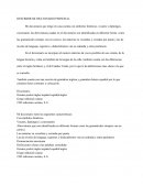 Actividade5-6 describir mi diccionario