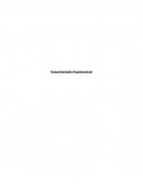 Comportamiento Organizacional