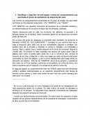 Identifique y describa las principales normas de comportamiento que practicaba el grupo de operadores de máquinas del caso
