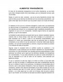 Alimentos transgenicos