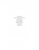 Declaración de accidentes de trabajo