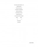 Trabajo de campo de los pingüinos