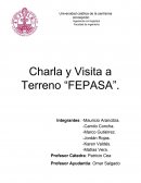 Este informe técnico tiene como objetivo general dar a conocer que es FEPASA