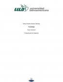 Como son los Estados de Flujo de Efectivo