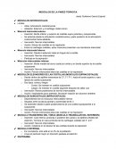 Musculos de la pared toracica Se extiende desde la articulación costotranversa y parte posterior de la articulación costocondral hacia adelante