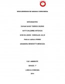 DESCUBRIENDO MI SABANA CORDOBESA