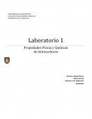 Propiedades de hidrocarburos