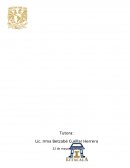 Conciencia, alma o cerebro, buscando al ser humano