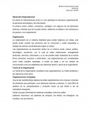 El Desarrollo de Organización