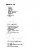 Comandos en Word