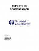 Segmentacion mercado