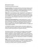 Seis especies de signos. Características generales de los signos