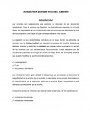 Las enzimas son catalizadores que aceleran la velocidad de las reacciones metabólicas.