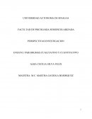 Paradigma Cualitativo y Cuantitativo