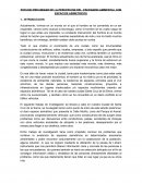 Estudio preliminar de la percepcion del escenario ambiental con espacios asimetricos