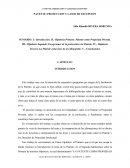 TESINA SOBRE LA PATENTE