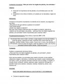 Dios me regala la creacion