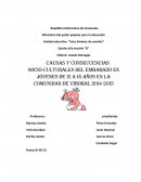 Causas y consecuencias socio-culturales del embarazo en jóvenes de 12 a 18 años en la comunidad de Viboral 2014-2015