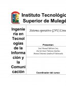 Ingeniería en Tecnologías de la Información y la Comunicación