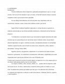 LA DEPRESIÓN ENSAYO