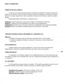 FISICA Y MEDICIÓN, *OBJETIVOS DE LA FÍSICA