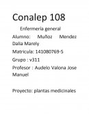 Enfermería general . plantas medicinales