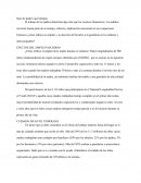 EFECTOS DEL EMPLEO MATERNO