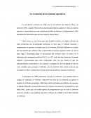 Película evolución de los S.O.