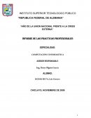 Practica preprofesionales INFORME DE LAS PRACTICAS PROFESIONALES