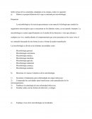 Higiene industrial 2